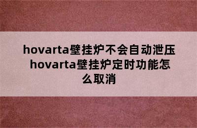 hovarta壁挂炉不会自动泄压 hovarta壁挂炉定时功能怎么取消